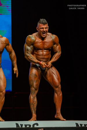 BODYBUILDING 102